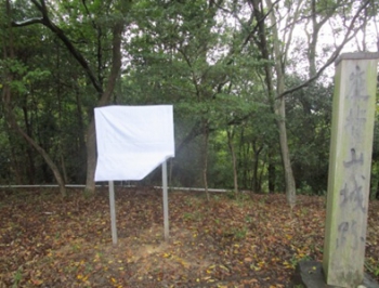 ファイル名: 001.jpg
ファイルサイズ: 66KB
→クリックで元のサイズを表示 001