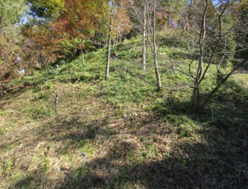 ファイル名: 001.jpg
ファイルサイズ: 116.7KB
→クリックで元のサイズを表示 001