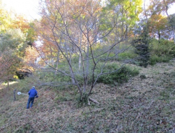 ファイル名: 002.jpg
ファイルサイズ: 104.2KB
→クリックで元のサイズを表示 002