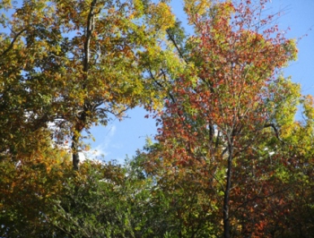 ファイル名: 004.jpg
ファイルサイズ: 124.8KB
→クリックで元のサイズを表示 004