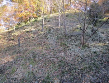 ファイル名: 001.jpg
ファイルサイズ: 215.8KB
→クリックで元のサイズを表示 001