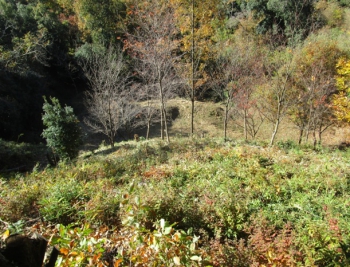 ファイル名: 002.jpg
ファイルサイズ: 213.5KB
→クリックで元のサイズを表示 002