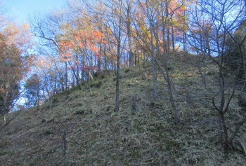 ファイル名: 001.jpg
ファイルサイズ: 375.5KB
→クリックで元のサイズを表示 001