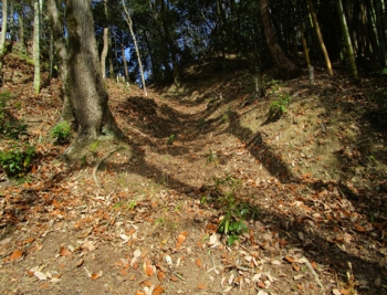 ファイル名: 002.jpg
ファイルサイズ: 176.3KB
→クリックで元のサイズを表示 002