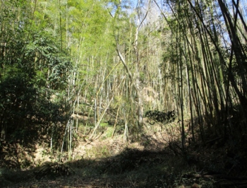 ファイル名: 002.jpg
ファイルサイズ: 147.8KB
→クリックで元のサイズを表示 002