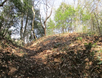 ファイル名: 001.jpg
ファイルサイズ: 143.6KB
→クリックで元のサイズを表示 001